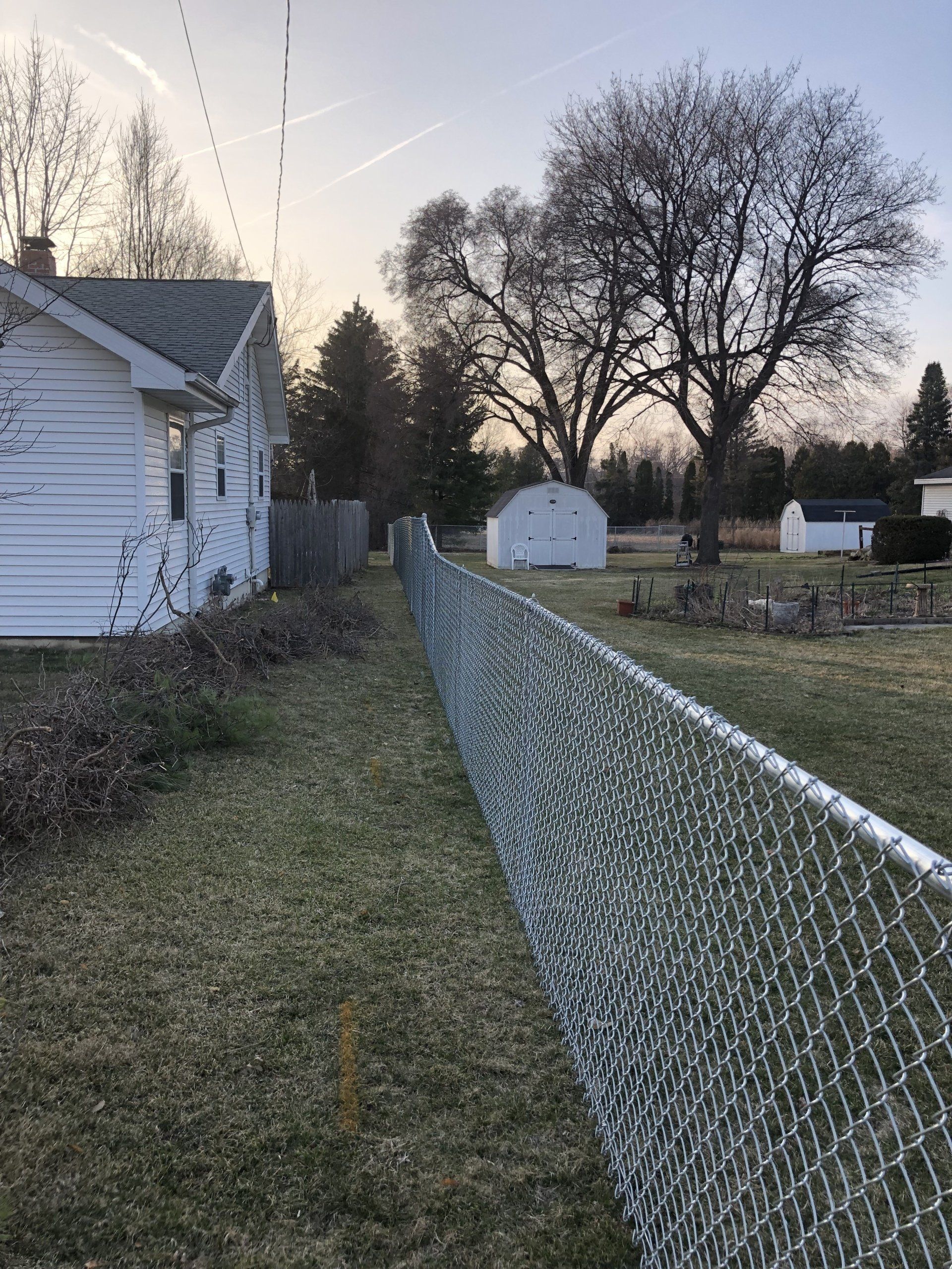 A chain link fence surrounds a yard with a white house in the background.