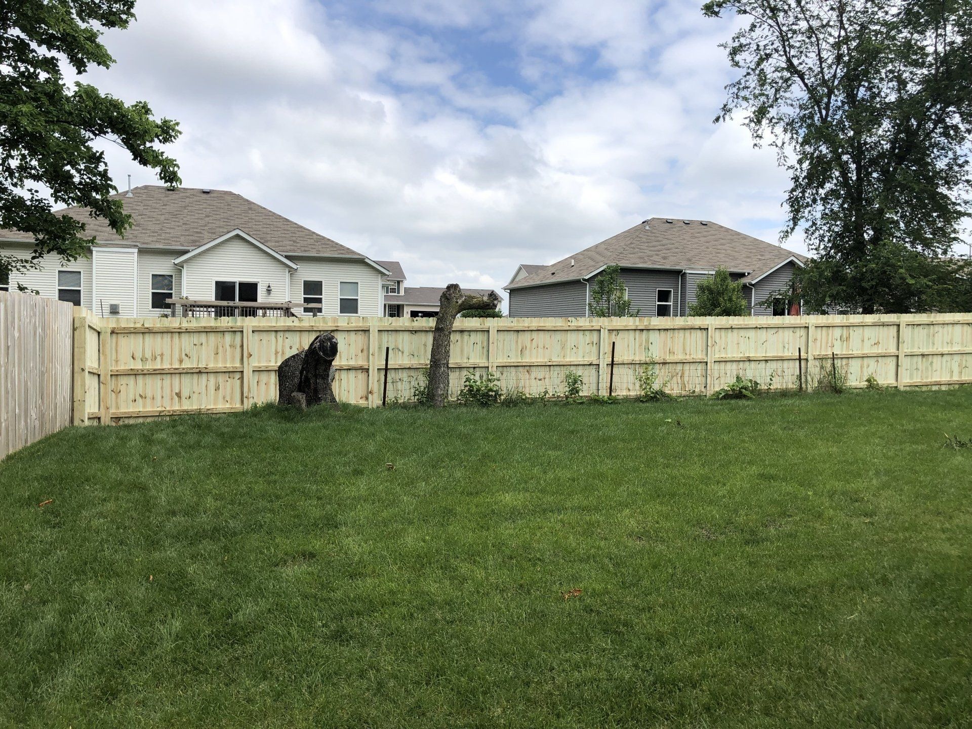 A dog is standing in the grass in front of a wooden fence.