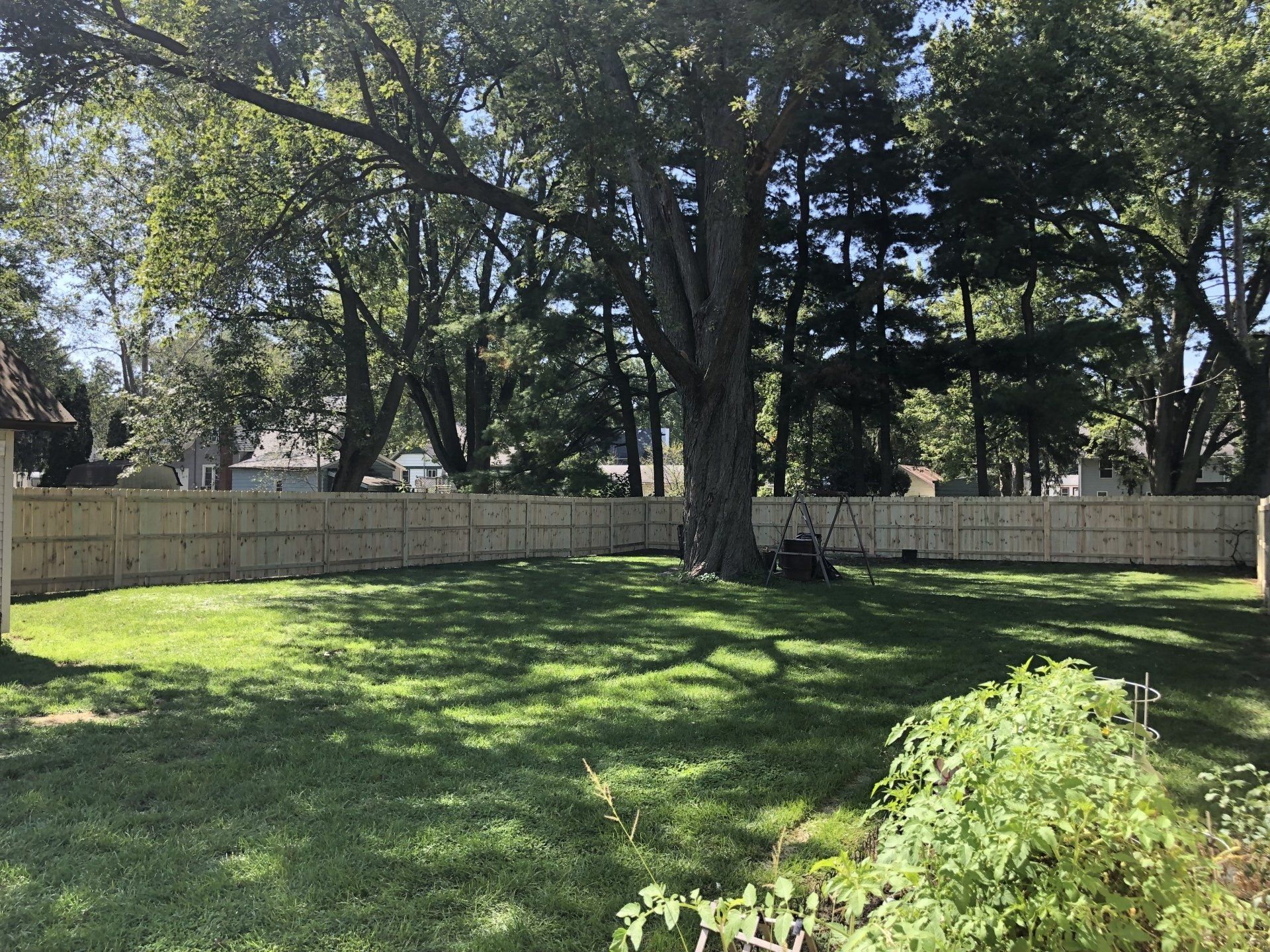 A backyard with a wooden fence and trees in the background.