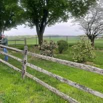 A man is standing next to a wooden fence in a field.