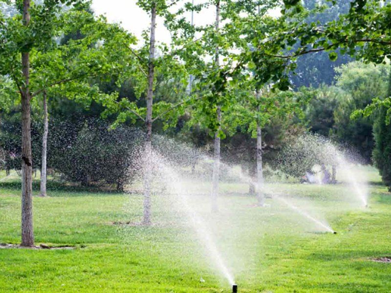 Irrigation system
