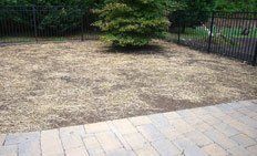 A residential backyard featuring a patch of dirt covered in straw mulch with a small tree and a black fence in the back.
