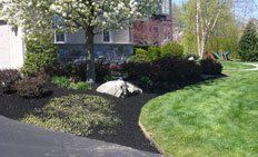 A landscape garden with dark mulch, a large boulder, shrubs, and a blooming tree in front of a house next to a green lawn.