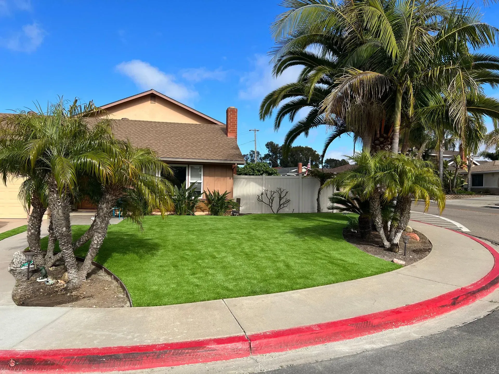 Lawn and palm trees in front of a house on a street with a red curb and sidewalk. Blue sky.