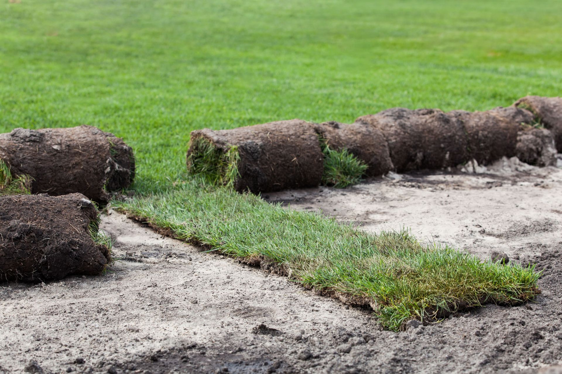 artificial turf installation