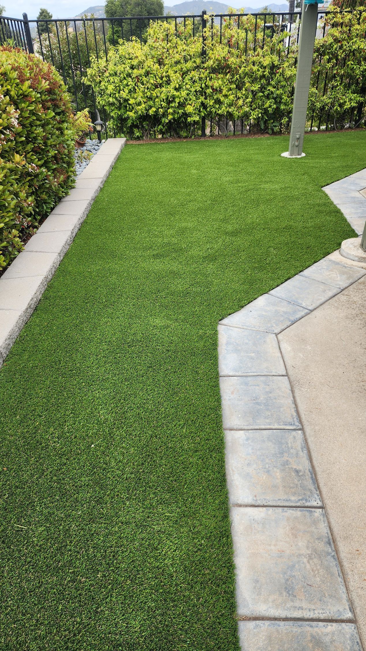Green lawn bordered by concrete and hedges, under a blue sky.
