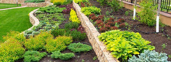 Plant wall and stone pavers