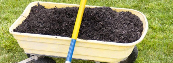 mulch