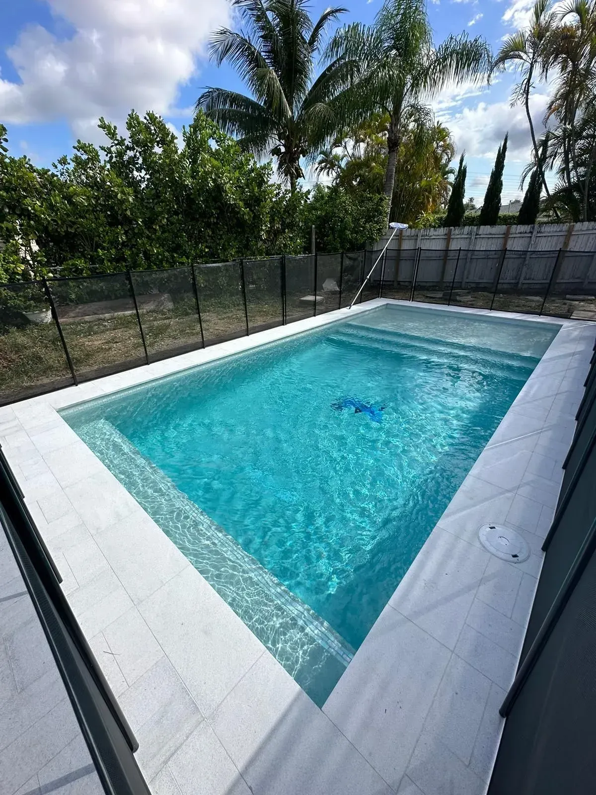 A rectangular turquoise swimming pool with white tile edging, surrounded by a black fence and greenery.