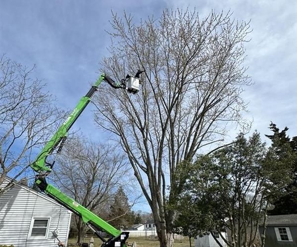 A green crane is cutting a tree in front of a house.