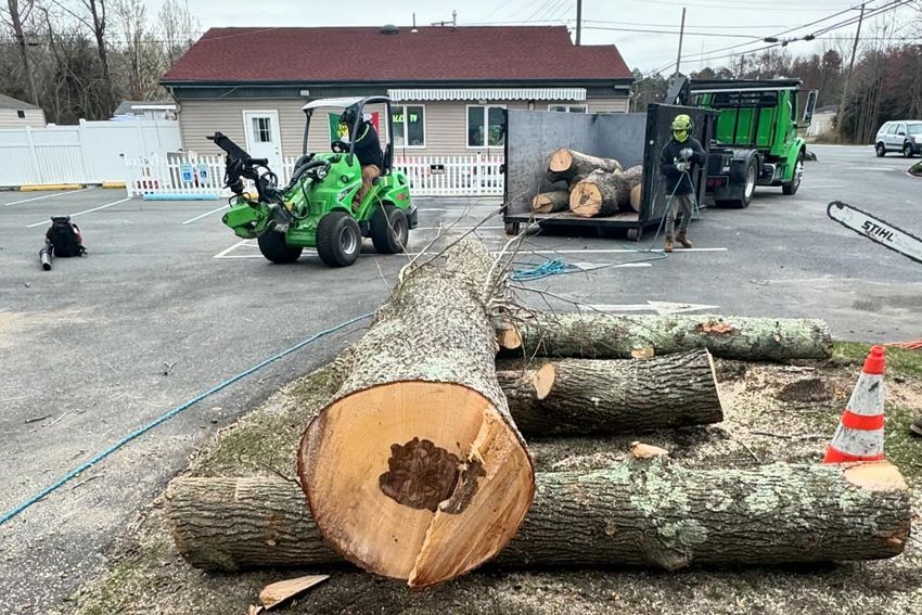 A tractor is cutting a tree in a parking lot.