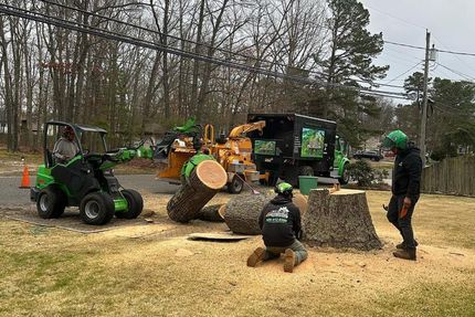 A group of people are working on a tree stump.