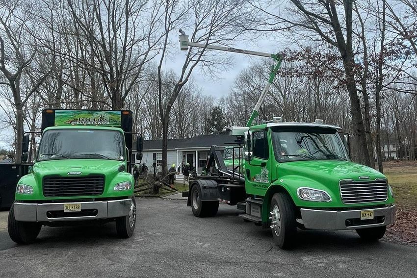 Two green trucks are parked next to each other in a driveway.