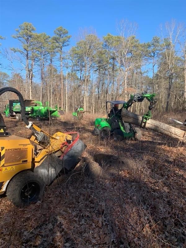 A group of tractors are cutting down trees in a forest.
