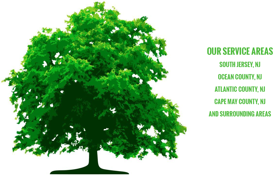 Green tree - Our Service Areas - South Jersey, NJ, Ocean County, NJ, Atlantic County, NJ, Cape May County, NJ, and surrounding areas