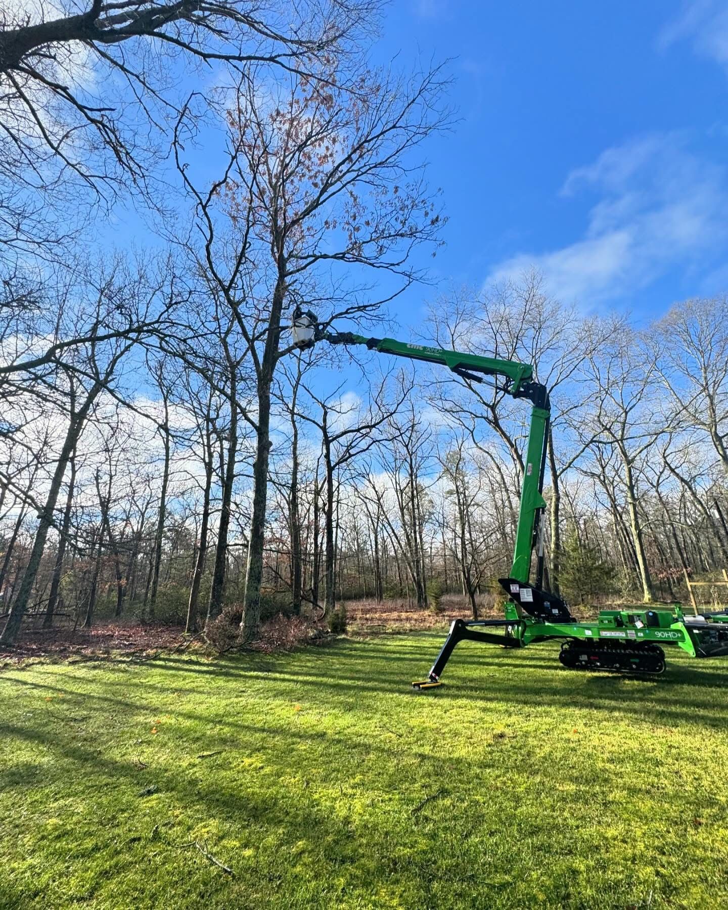 A green crane is cutting a tree in the woods.
