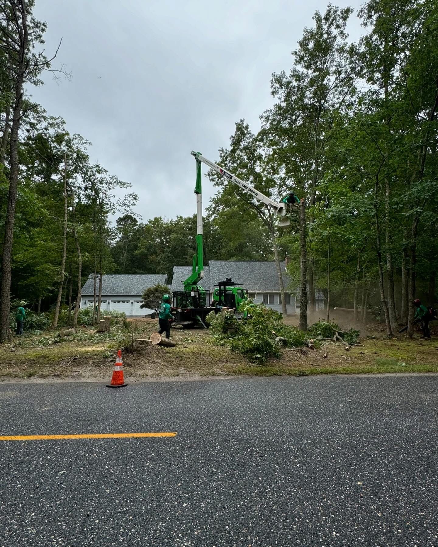 A green crane is cutting trees in front of a house.