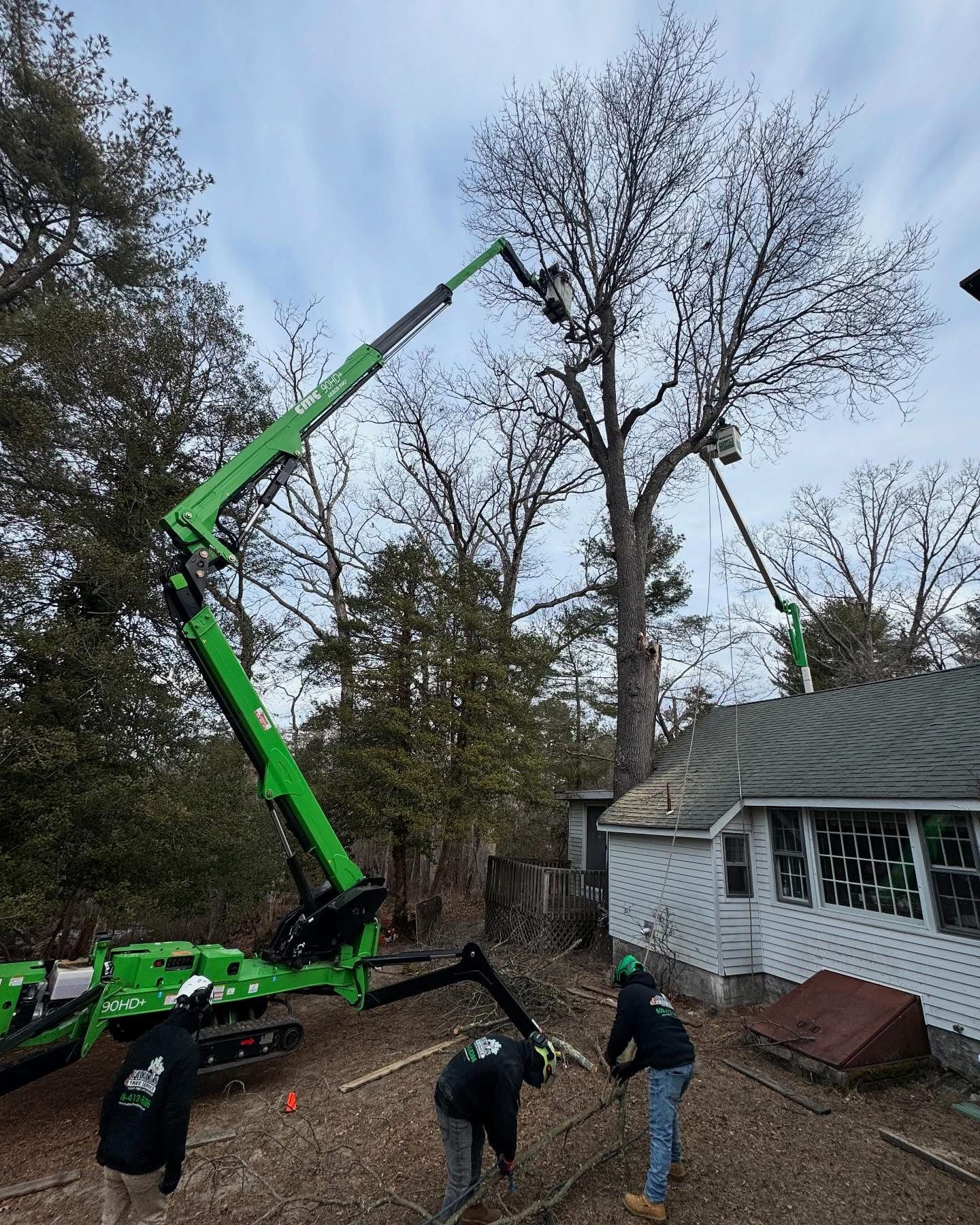A green crane is cutting a tree in front of a house.