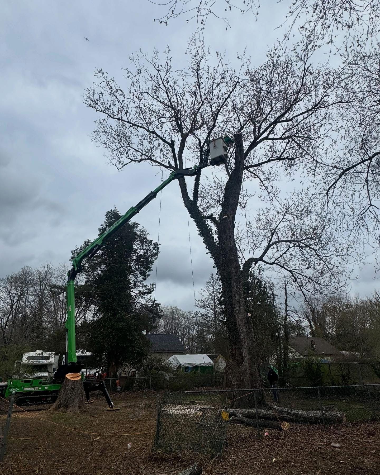 A green crane is cutting a tree in a yard.