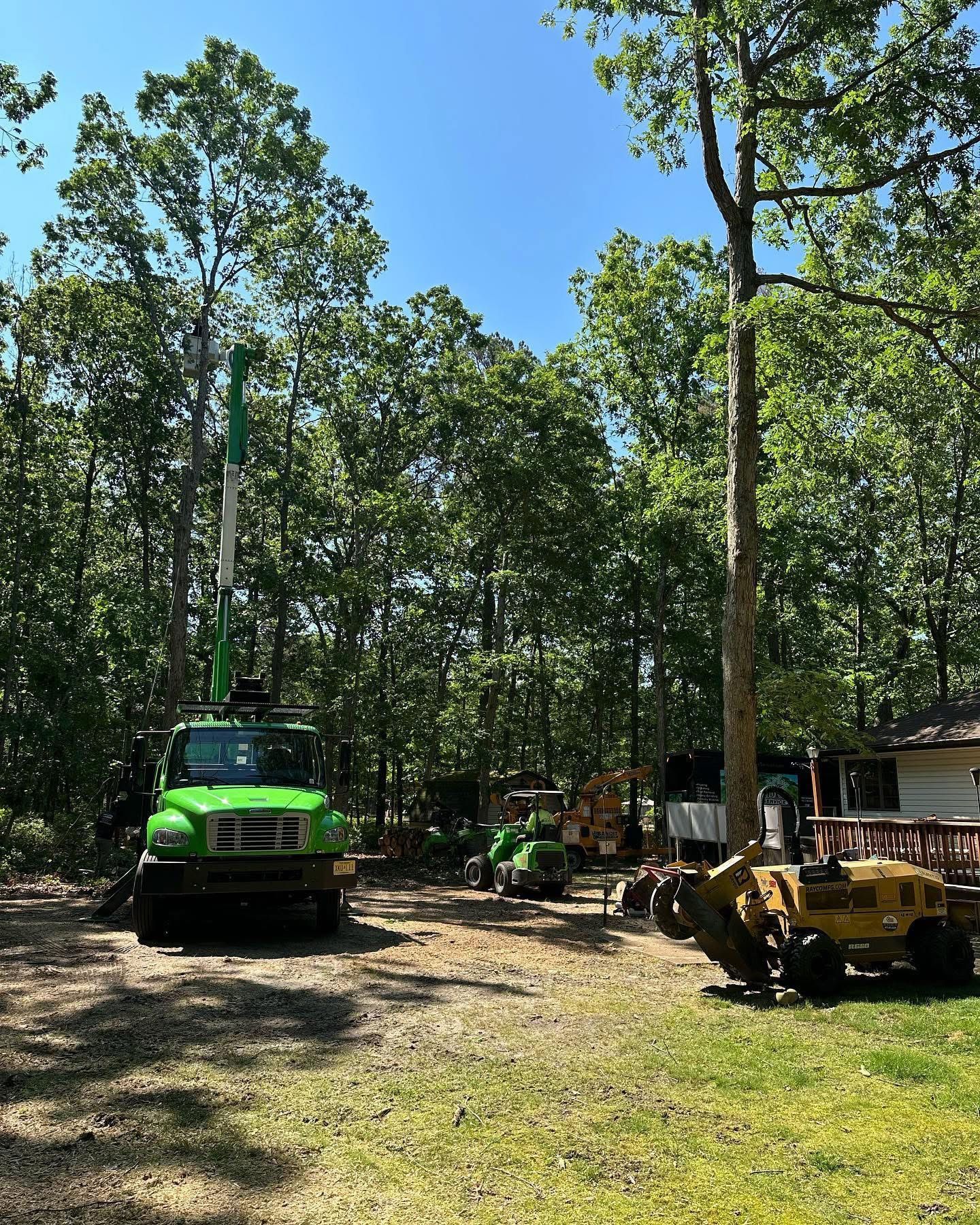 A green truck is parked in a driveway next to a tree.