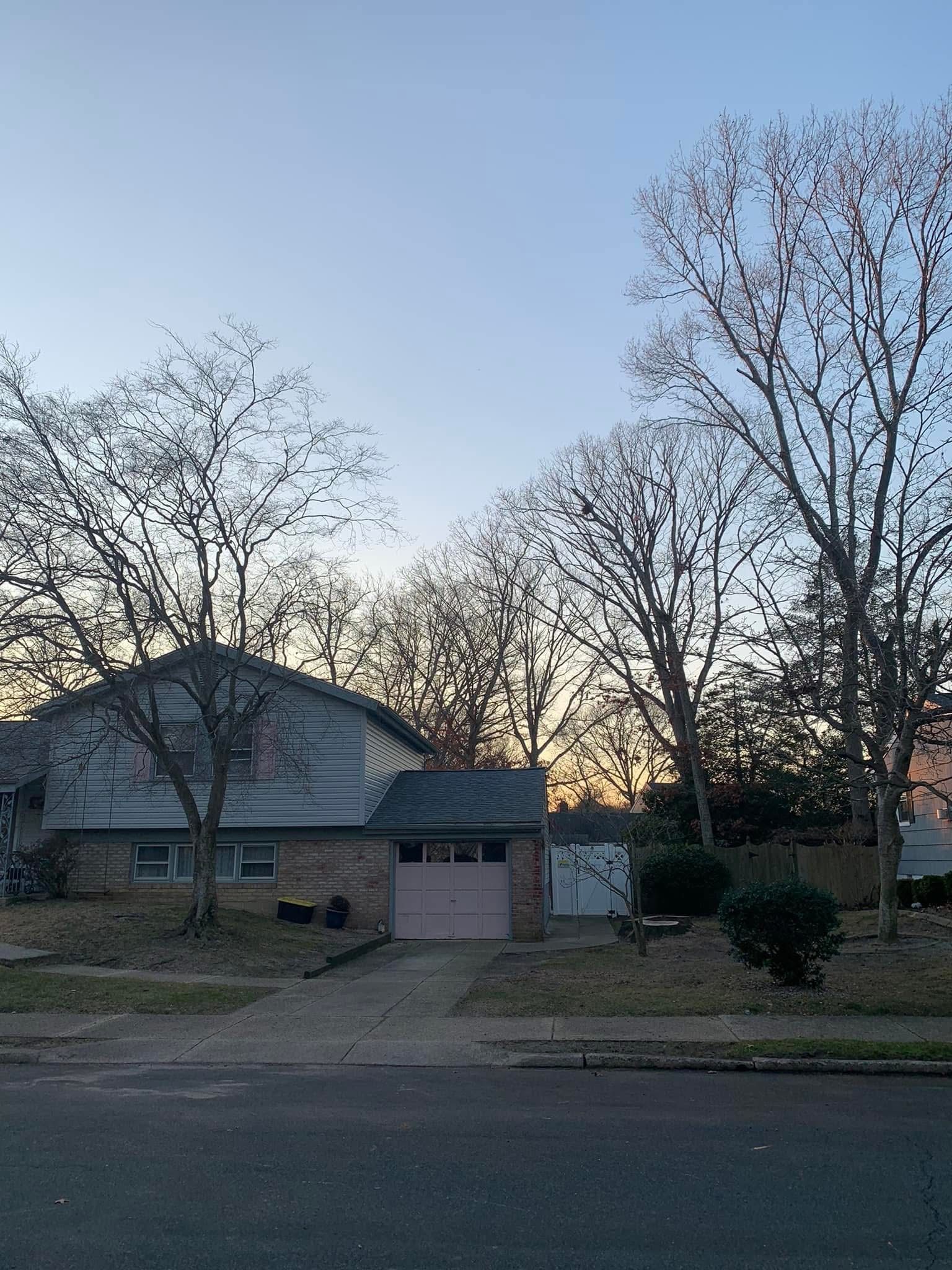 A house with a garage and trees in front of it.