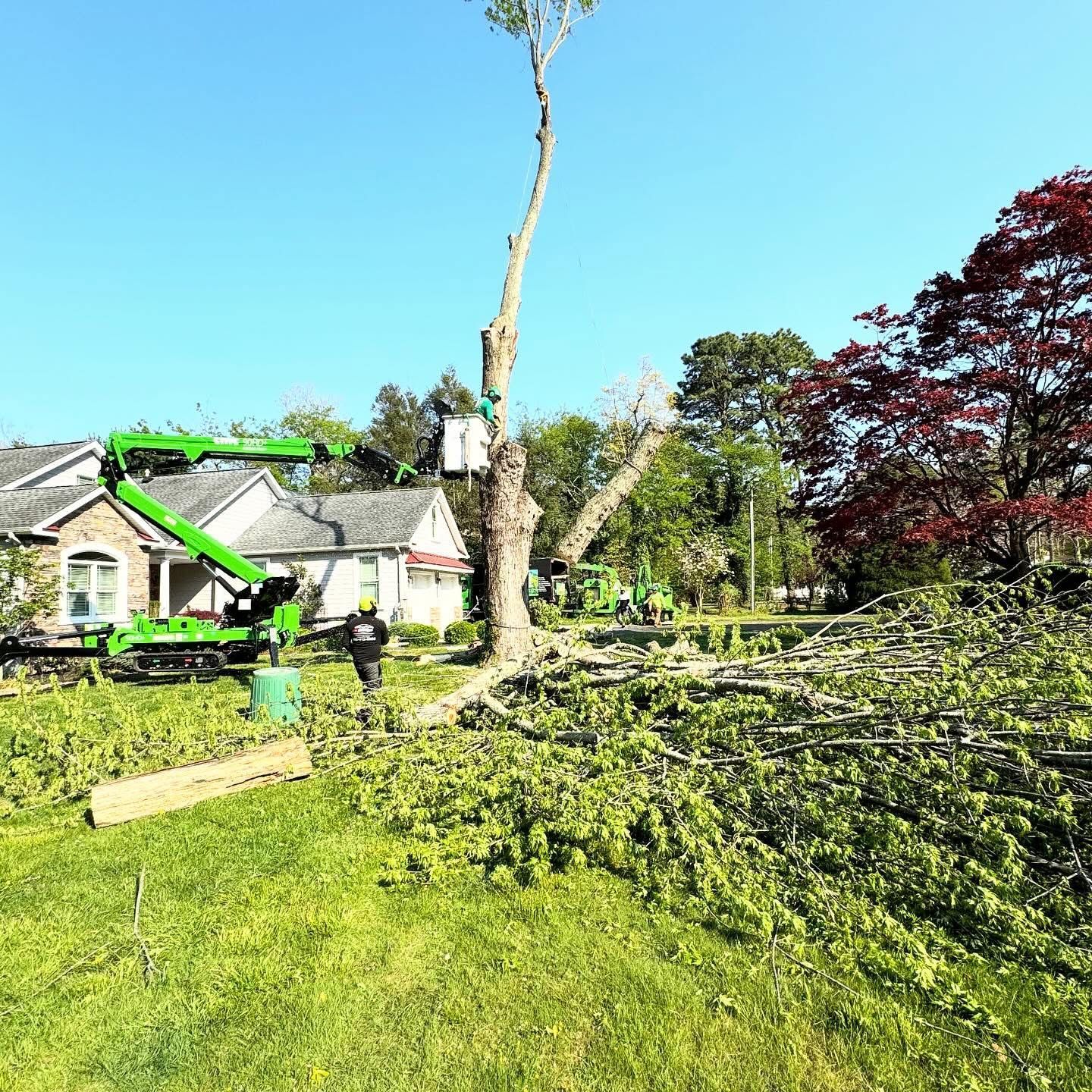 A green crane is cutting down a tree in front of a house.