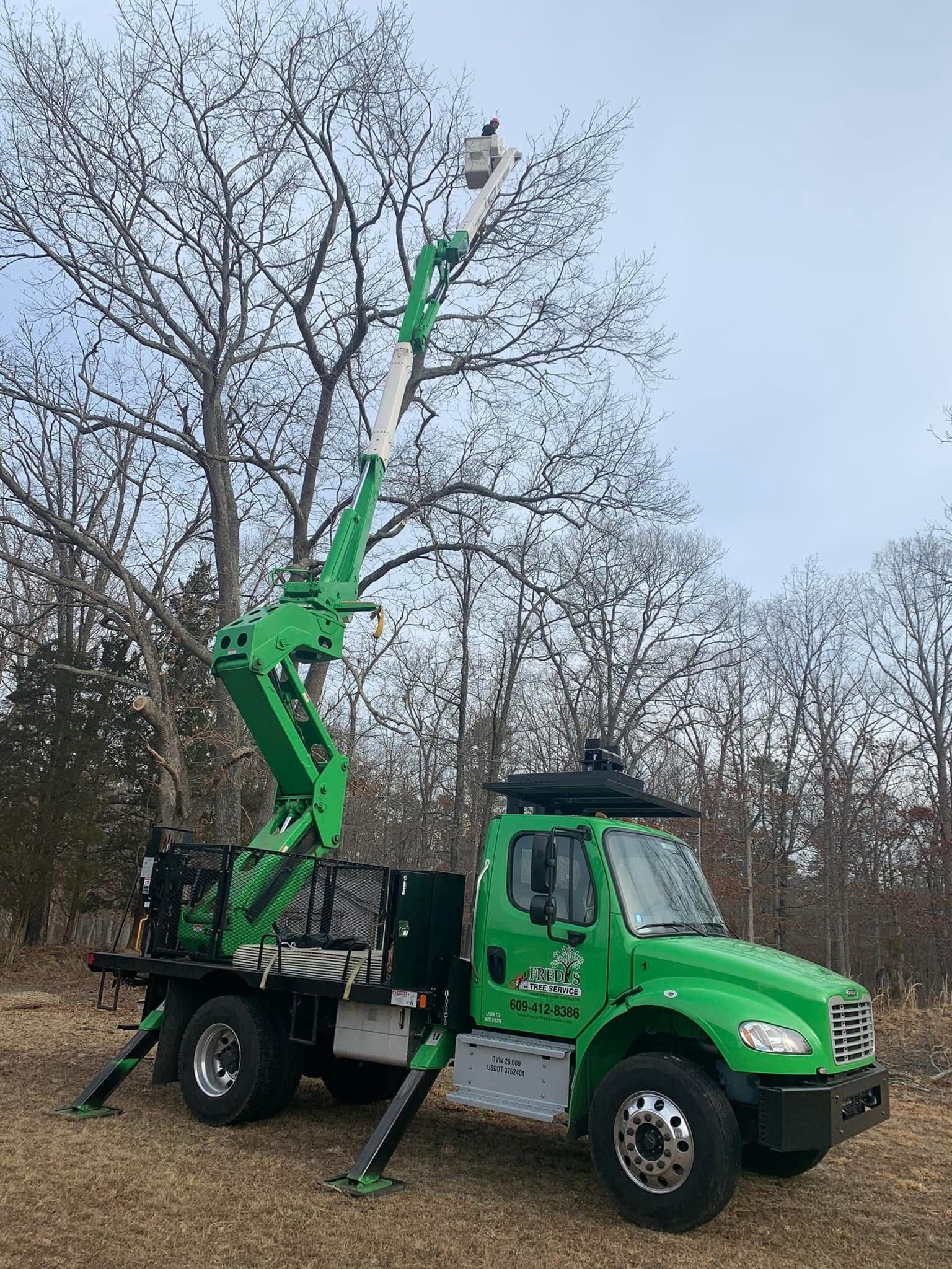 Green tree service truck with a worker in the elevated bucket trimming a tree. Outdoors, cloudy sky.