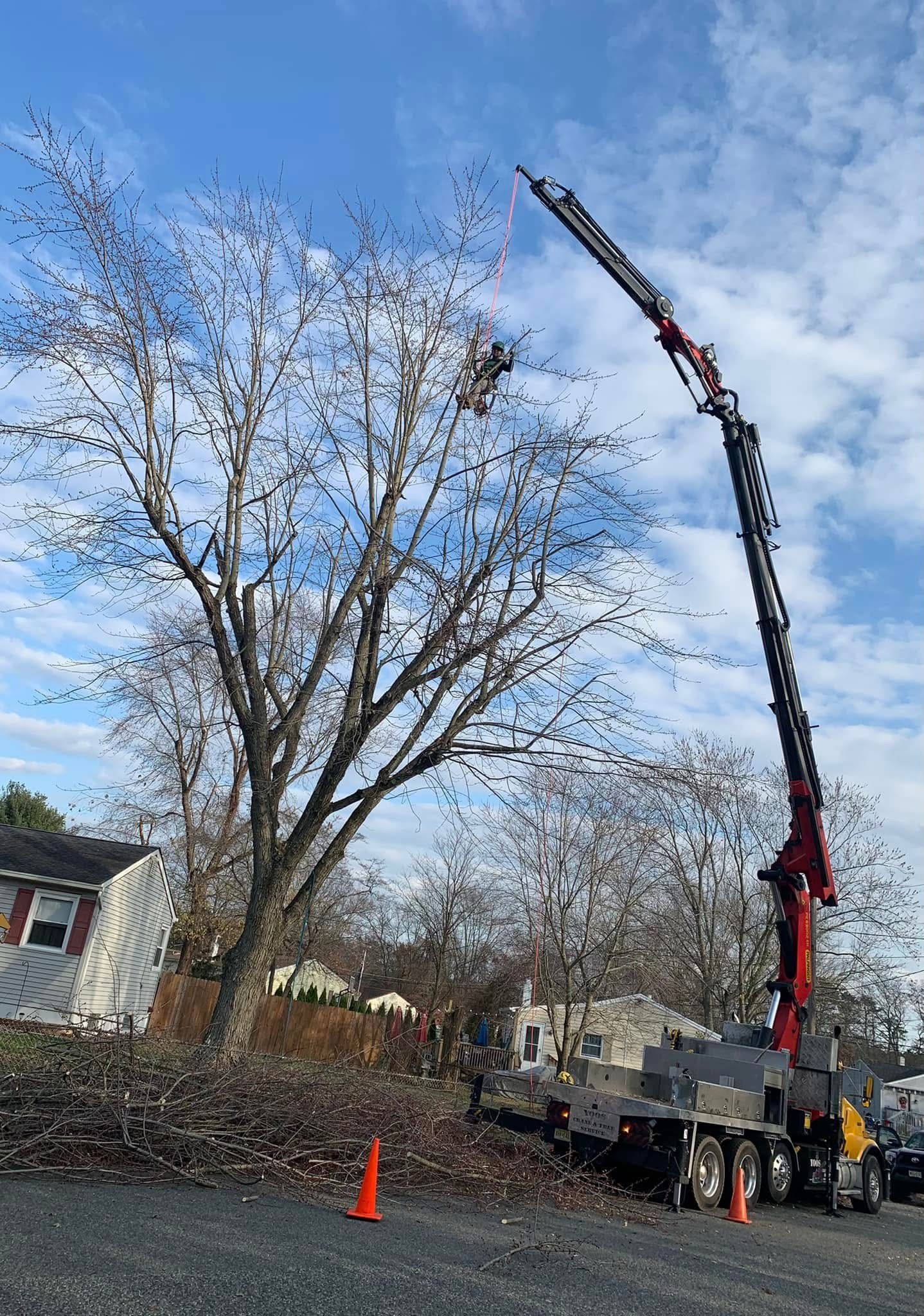 A tall crane cutting a tree near a house. Brown branches and leaves litter the ground. Blue sky.