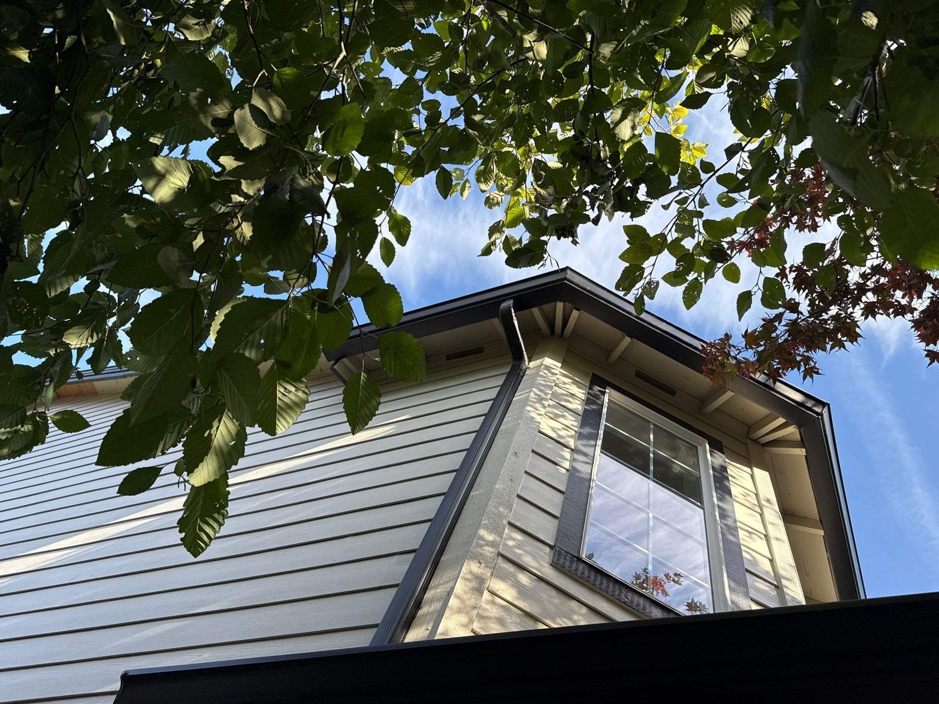 Low-angle view of a house with white siding and a large window, framed by green tree leaves against a blue sky.