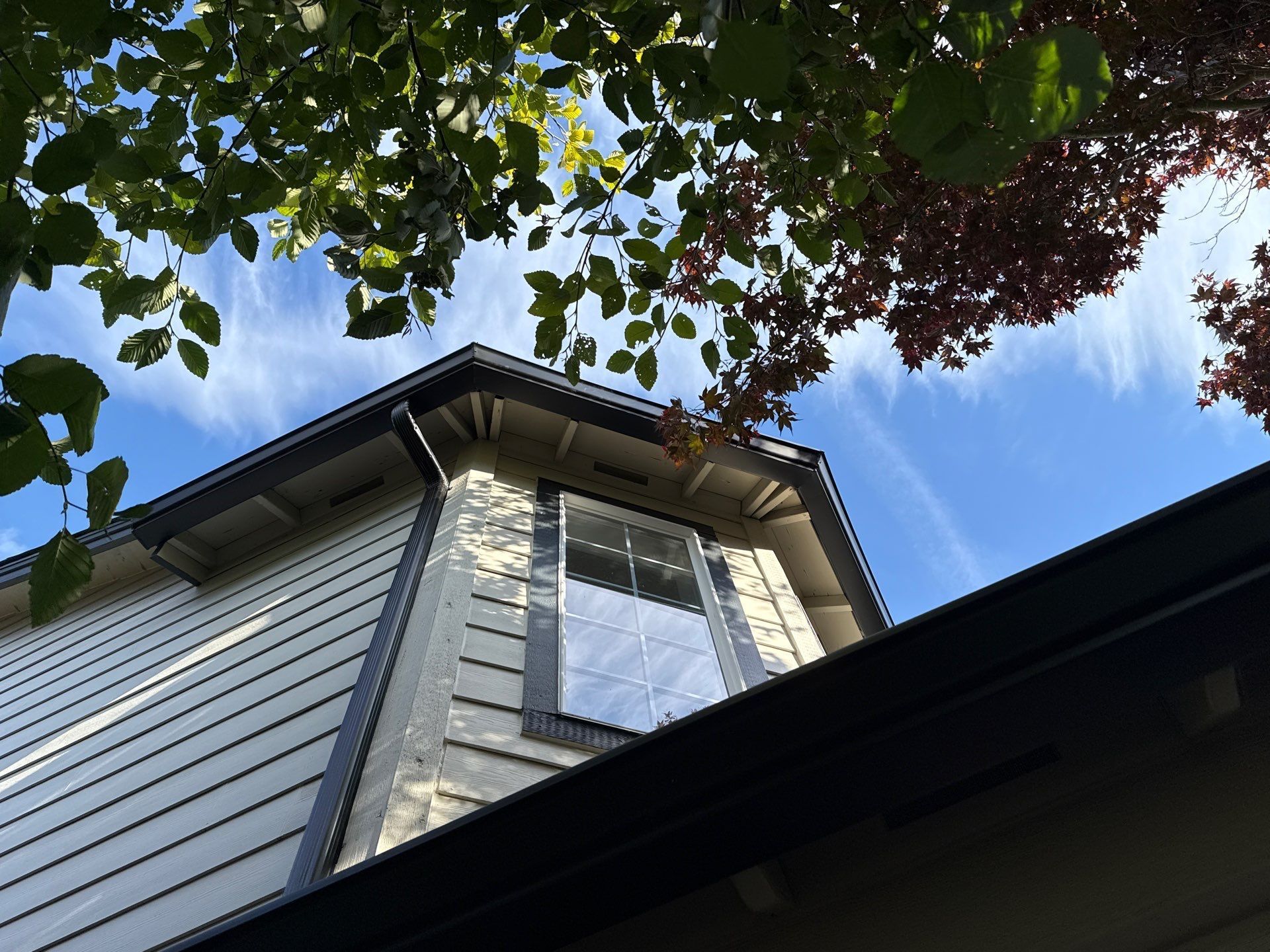 Low-angle view of a house with a window, against a blue sky with tree leaves in the top corners.