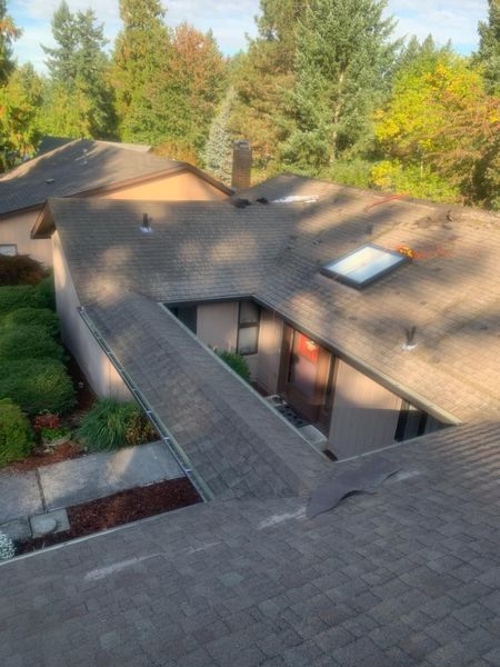 Overhead view of a multi-section roof with skylight and chimney; trees in the background.