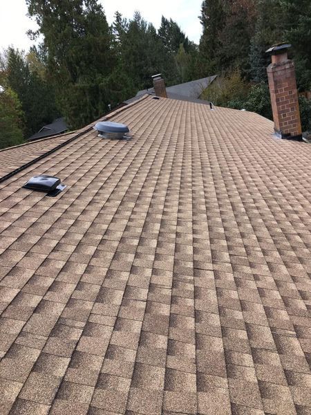 Brown asphalt shingle roof with two chimneys, skylights, and trees in the background.