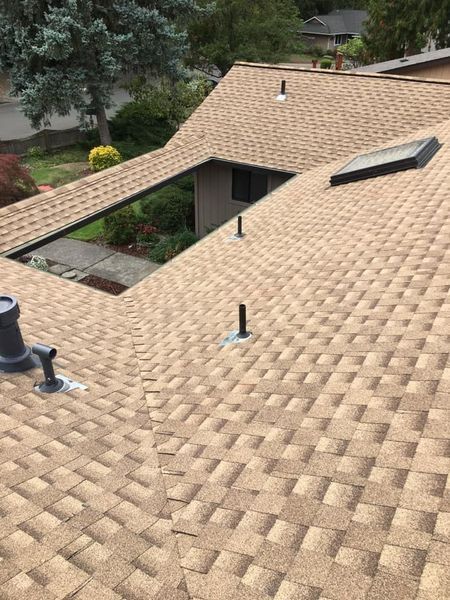 Tan asphalt shingle roof with vents and skylight. View of house exterior.
