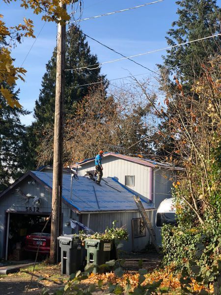 Person on a roof near power lines, trimming a tree. House, garage, and yard visible. Blue sky.