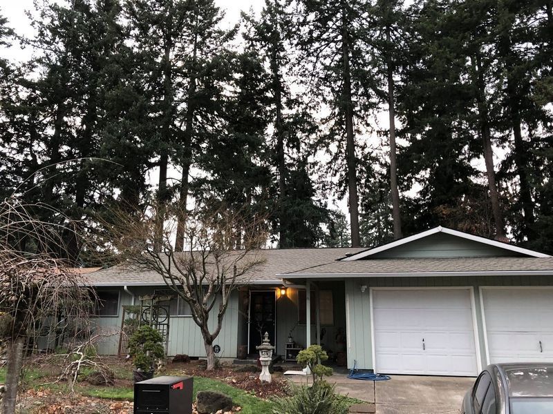 A light green ranch-style house with a two-car garage, surrounded by tall evergreen trees.