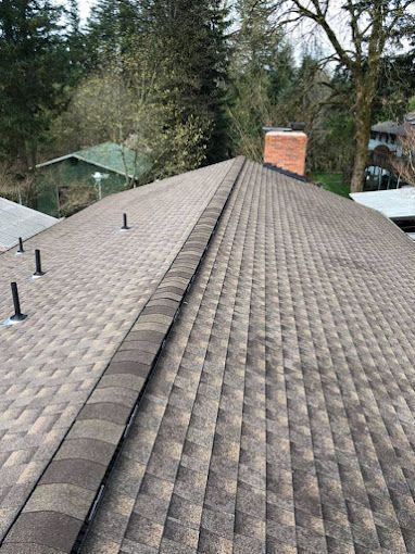 Brown asphalt shingle roof with a chimney and vent pipes, set against a backdrop of trees and a green-roofed building.