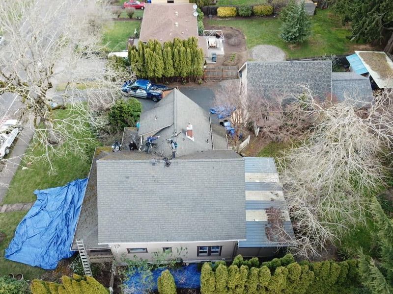 Aerial view of roof repair on a house. Workers on roof, blue tarp, ladder, green hedges.