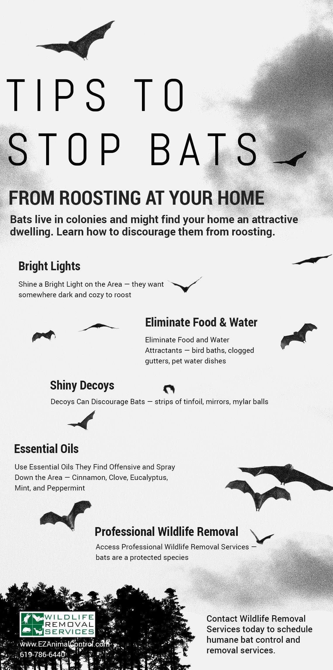 Tips to stop bats from roosting at your home, with multiple bat illustrations and tips in the text.