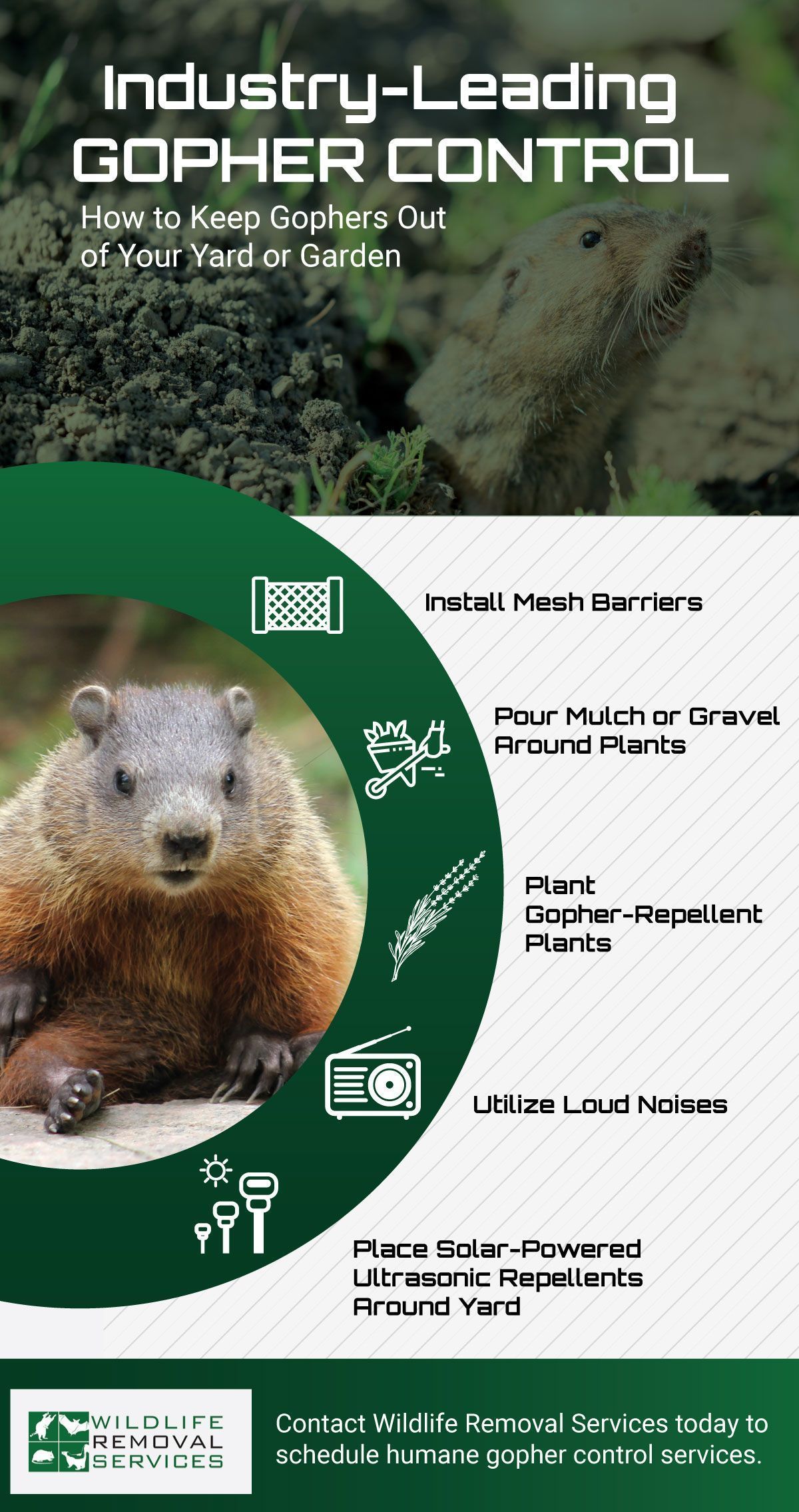 Advertisement: Gopher control with gopher, plants, green and white text/icons, and various strategies.