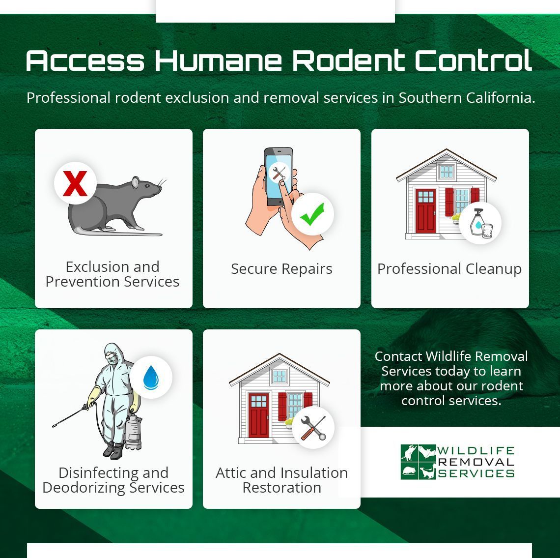 Infographic: Humane rodent control services. Icons depict exclusion, secure repairs, cleaning, disinfection, attic restoration.
