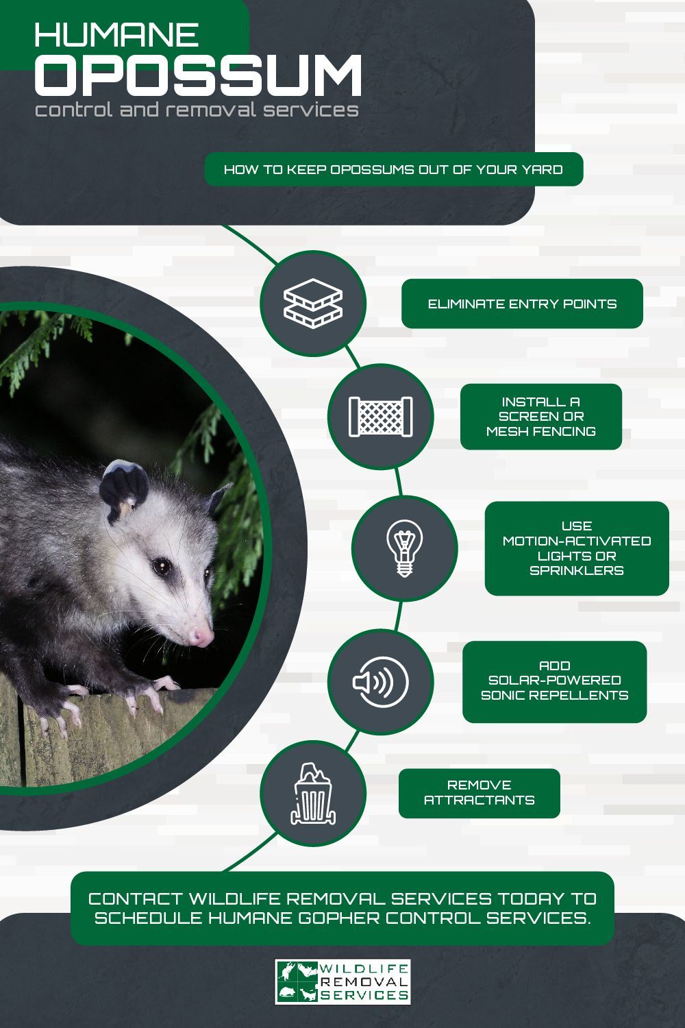 Humane Opossum control ad, with an opossum, and icons about services. Green and white.