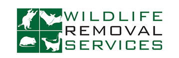 Wildlife Removal Services - logo