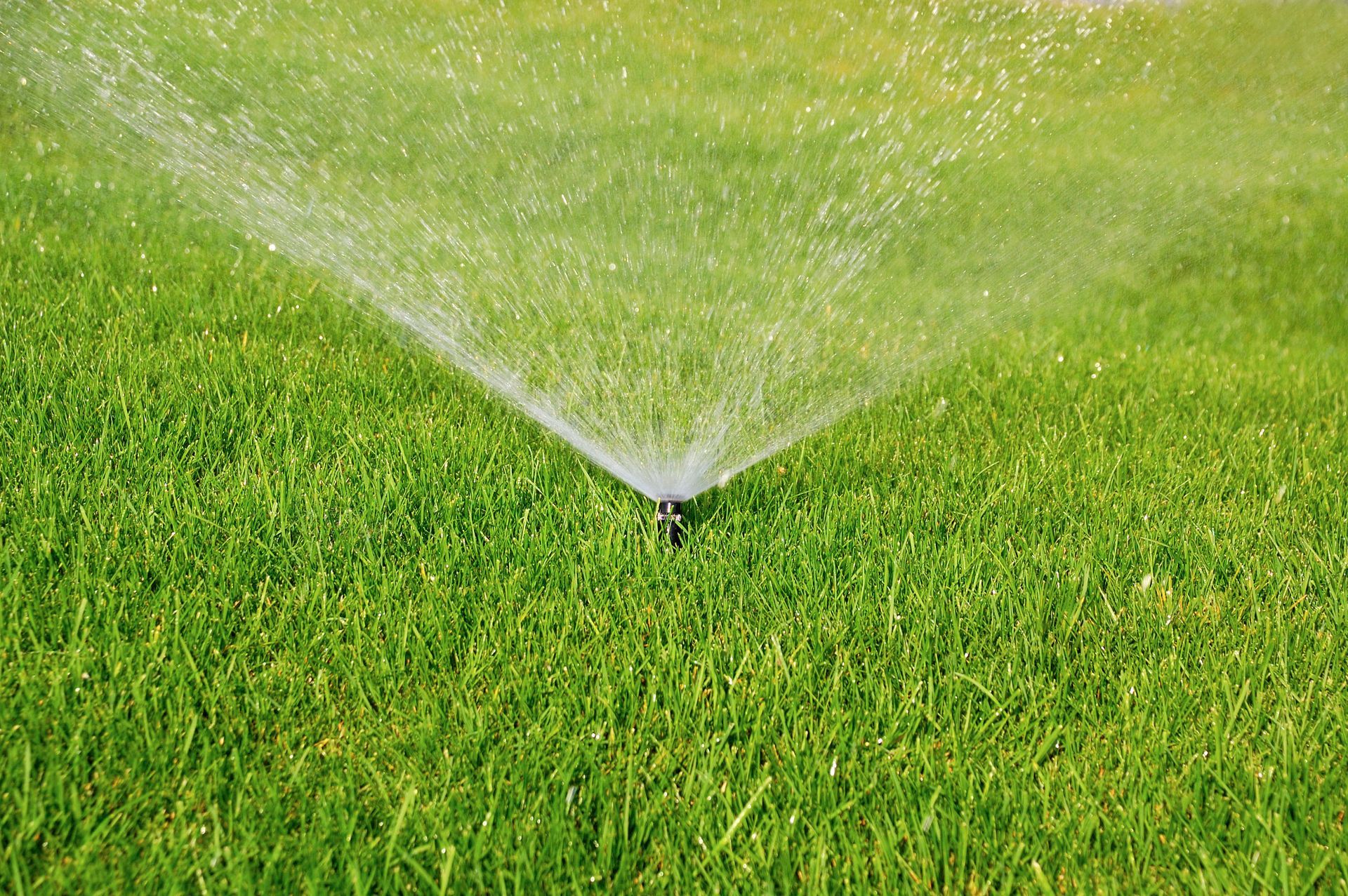 Four Seasons Landscaping & Tree Service