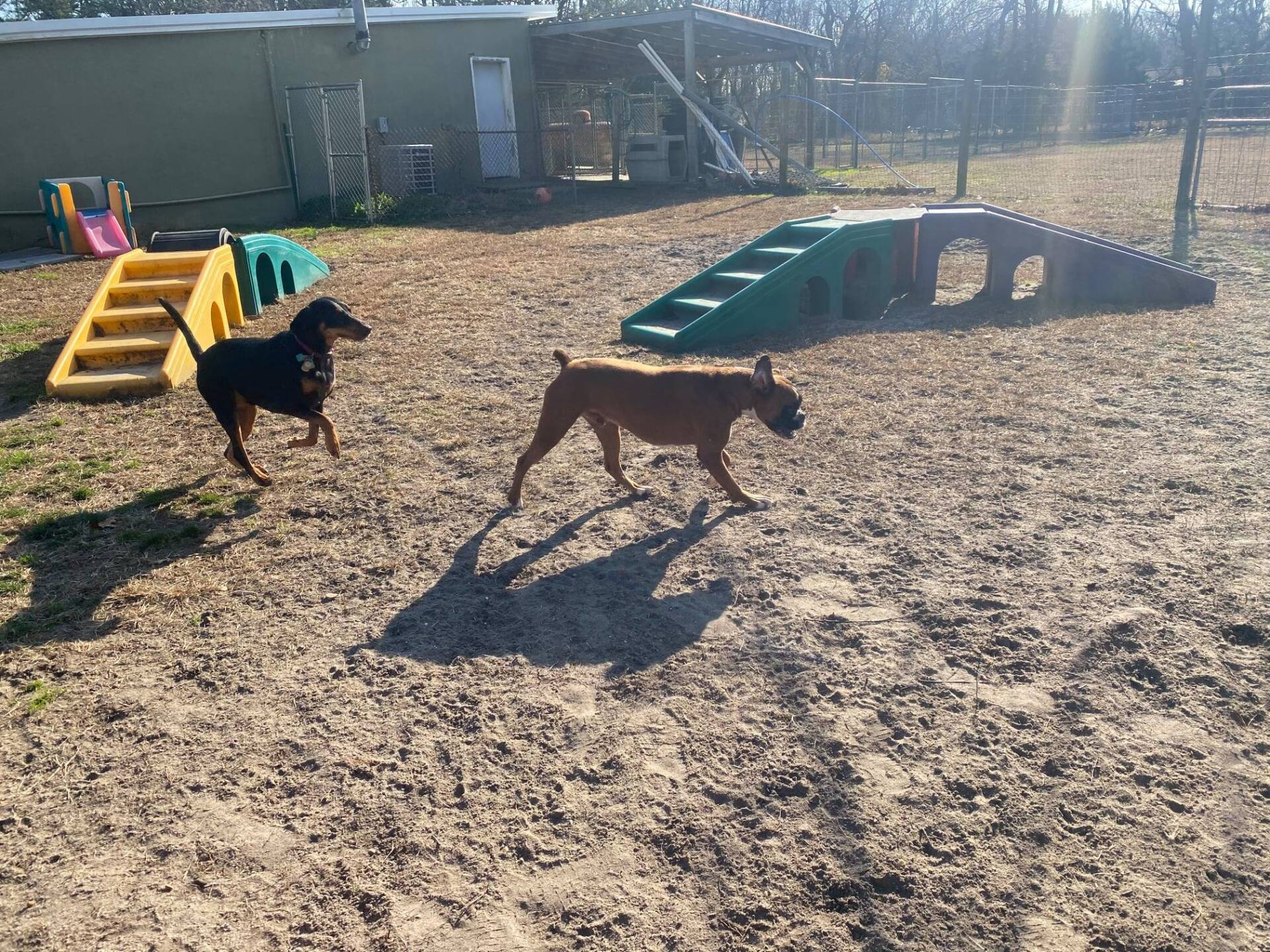 All Seasons Pet Resort Photo Gallery Freehold, NJ