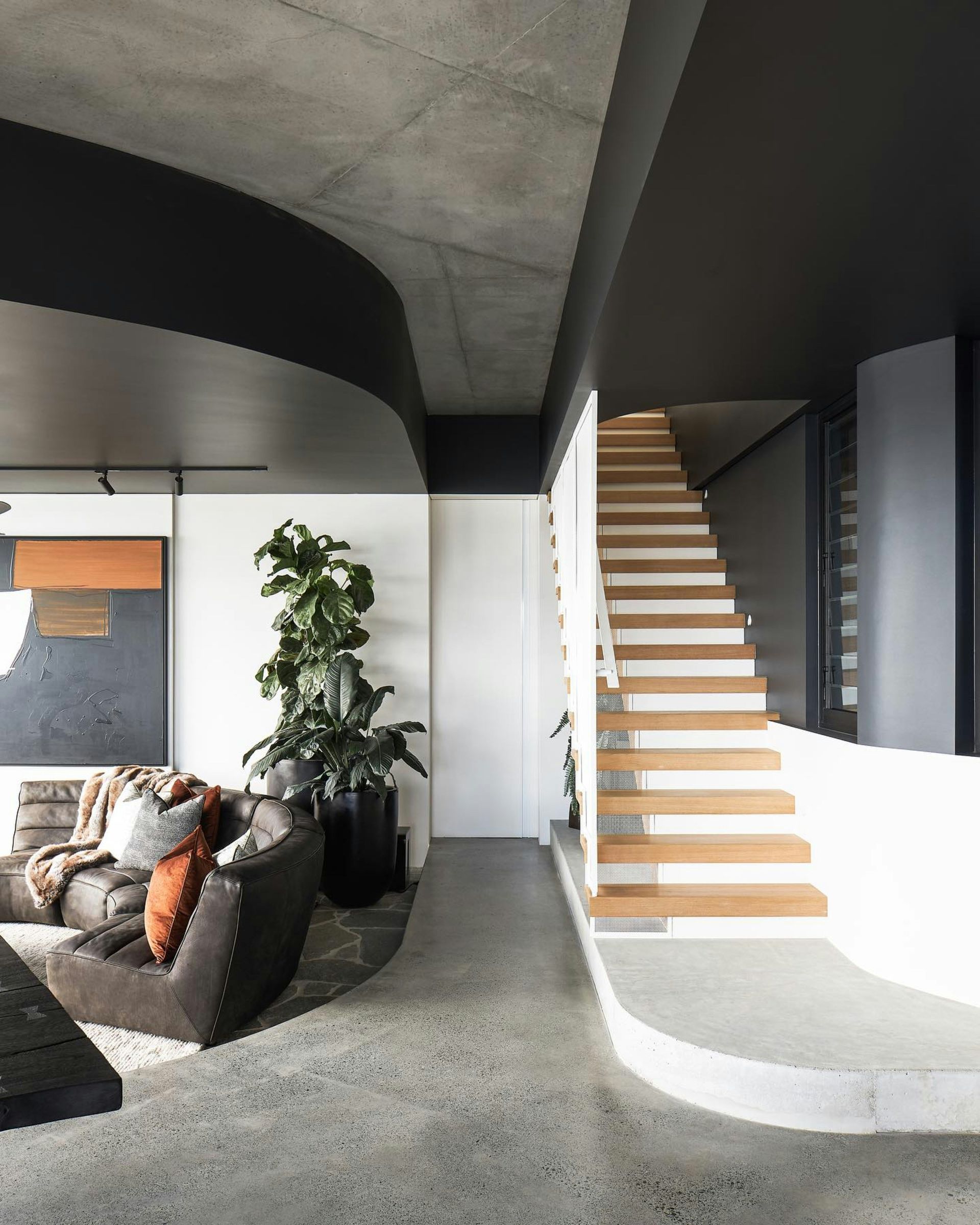 Modern living room with curved gray sofa, tall plant, and floating wooden staircase.