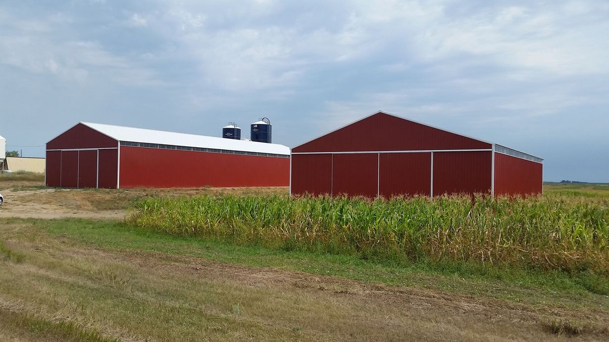 Two red barns with white trim on a farm, crops in the foreground, cloudy sky.