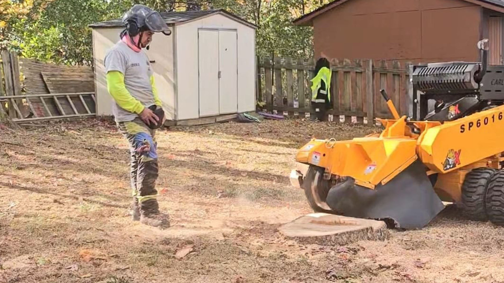 Worker standing near orange stump grinder in a dirt yard with sheds in the background