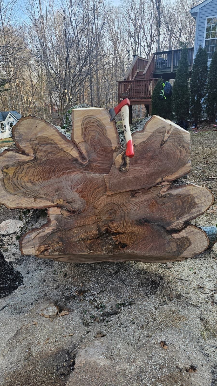 Large rustic wood bench carved from a tree trunk with a red-and-black axe handle in the center outdoors