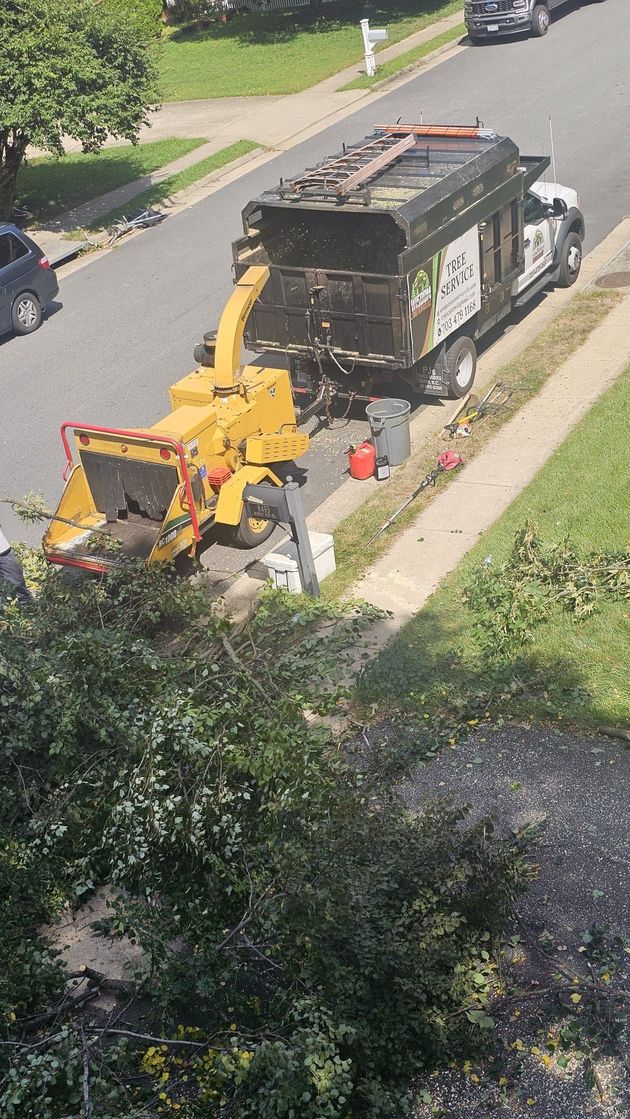 Yellow road grader working beside a black dump truck on a residential street, with cones nearby