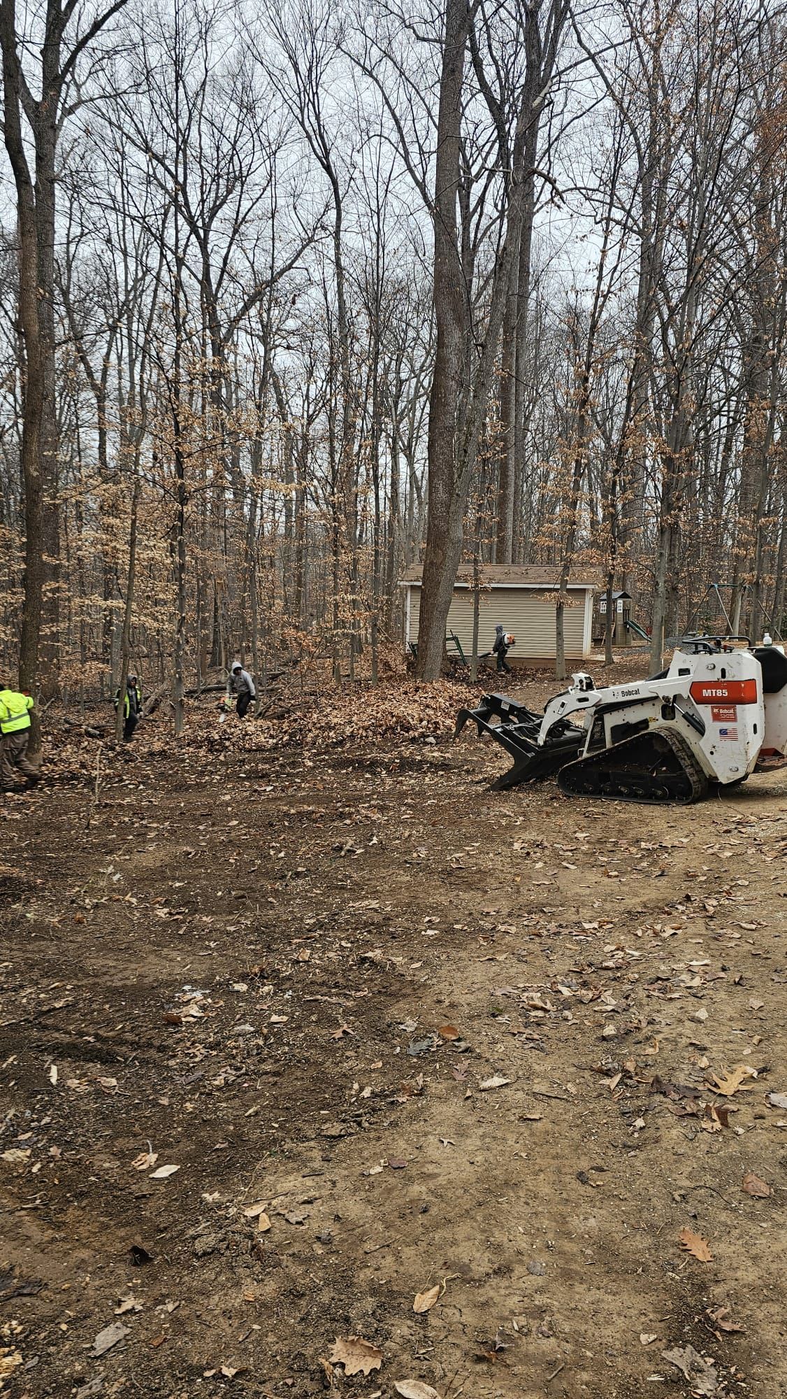 Cleared woodland lot with a worker in neon safety gear and a white skid steer moving dirt and leaves